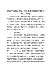 县医疗保障局XX年上半年工作总结和下半年工作计划