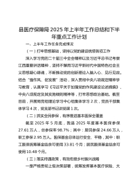 县医疗保障局XX年上半年工作总结和下半年重点工作计划