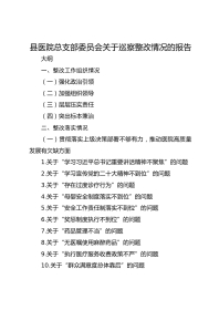 县医院总支部委员会关于巡察整改情况的报告