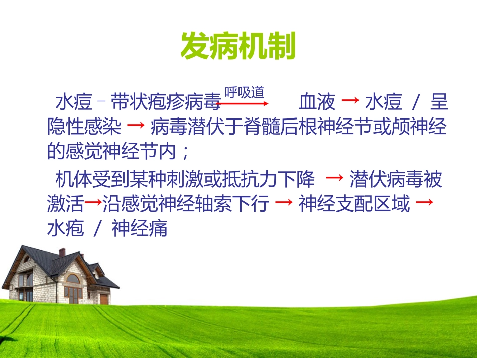 带状疱疹患者的护理及健康宣教_第4页