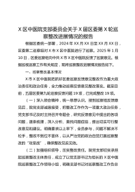 X区中医院支部委员会关于X届区委第X轮巡察整改进展情况的报告