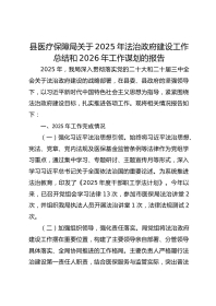 县医疗保障局关于XX年法治政府建设工作总结和2026年工作谋划的报告