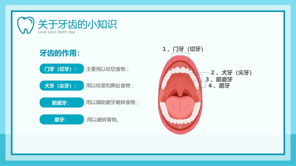 儿童爱护牙齿从小做起_第11页