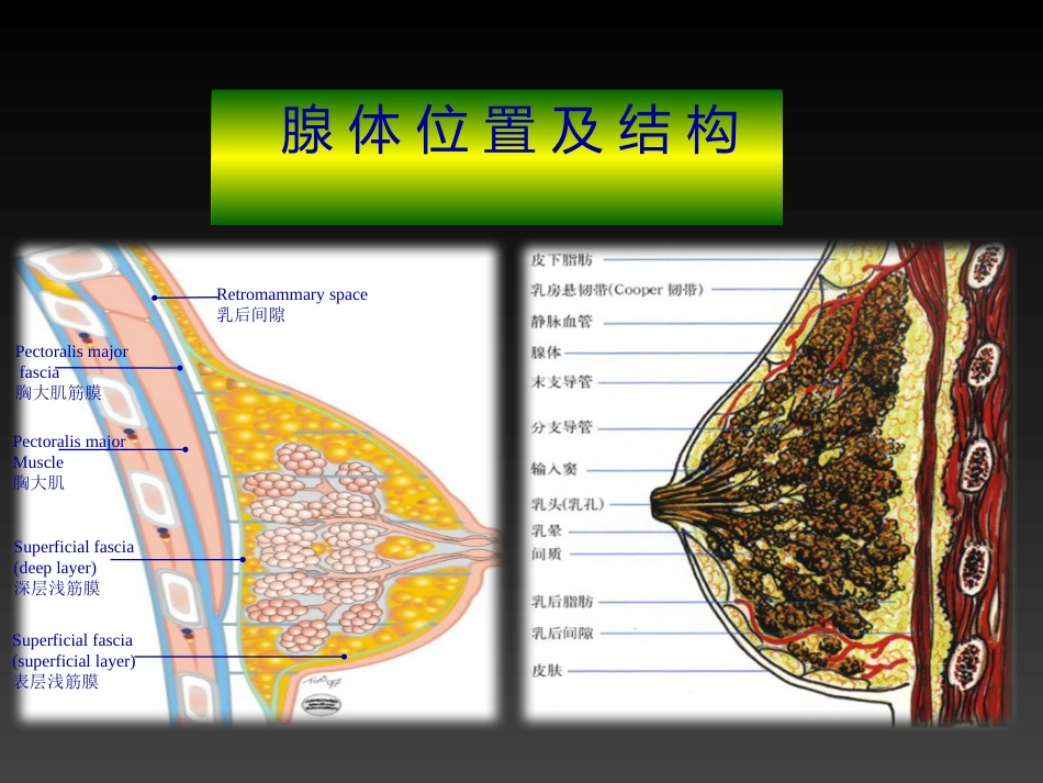妇产科-乳房疾病_第6页