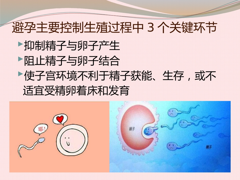 关注女性生殖健康_第7页