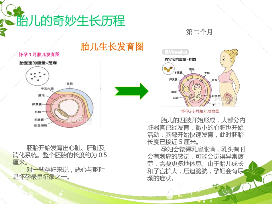 孕期产检及护理_第3页