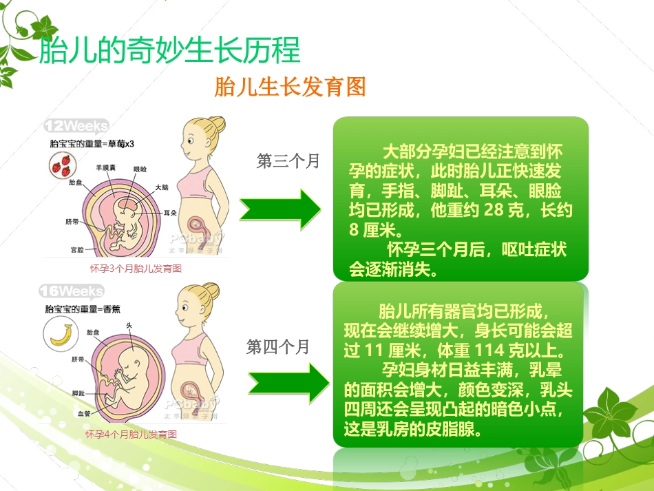 孕期产检及护理_第4页
