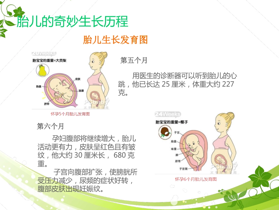 孕期产检及护理_第5页