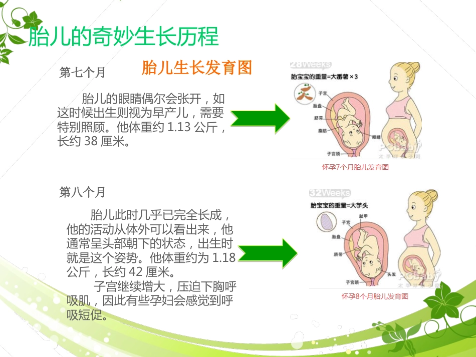 孕期产检及护理_第6页