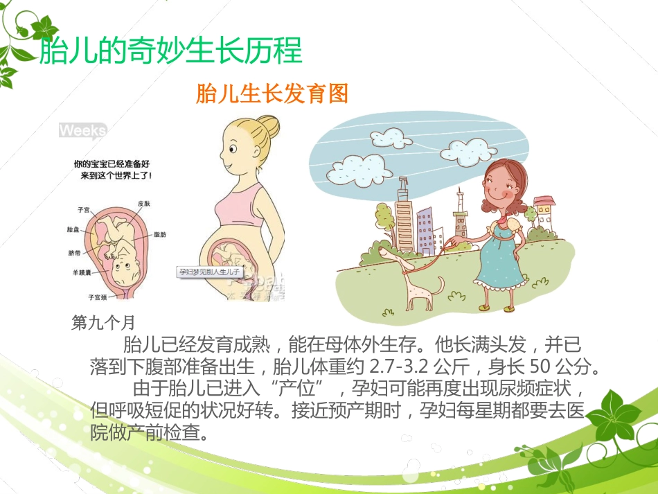 孕期产检及护理_第7页