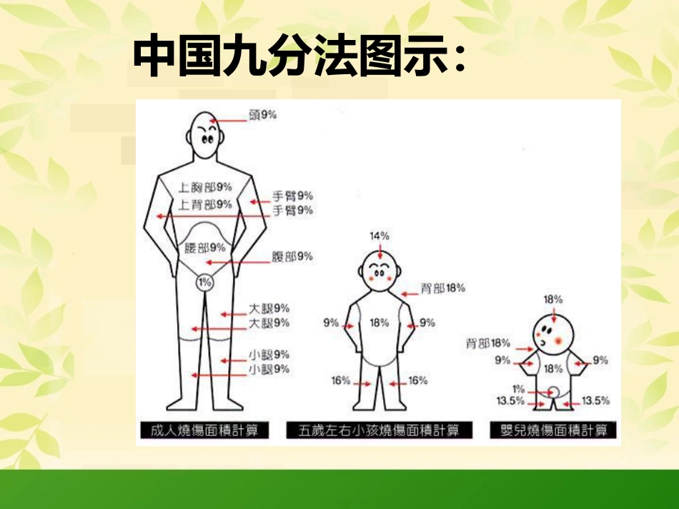 烧伤科普知识_第6页