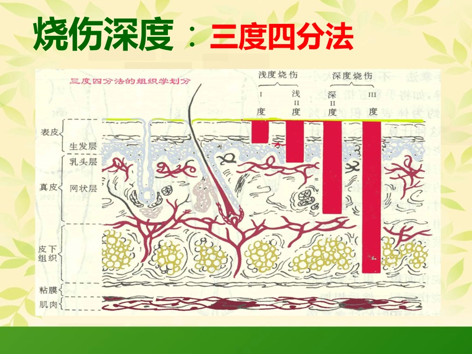 烧伤科普知识_第8页