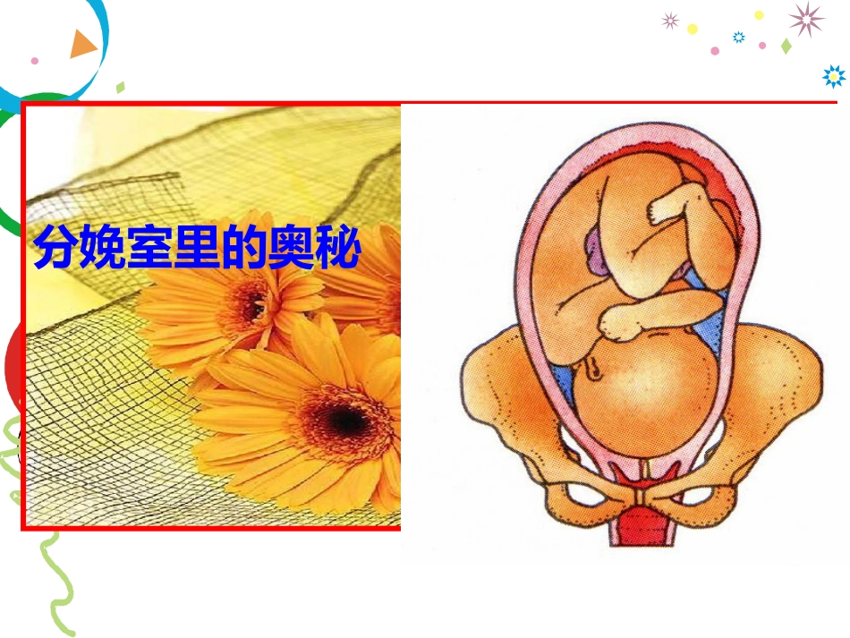 分娩室里的奥秘_第1页
