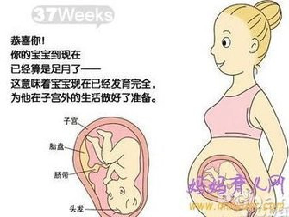分娩室里的奥秘_第10页