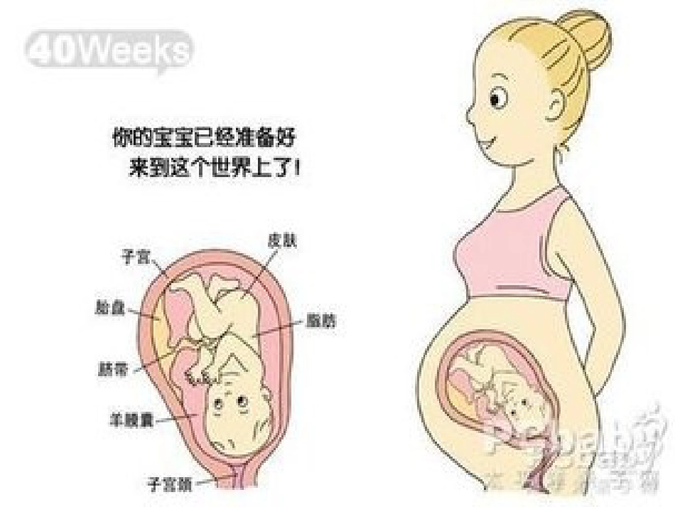 分娩室里的奥秘_第11页