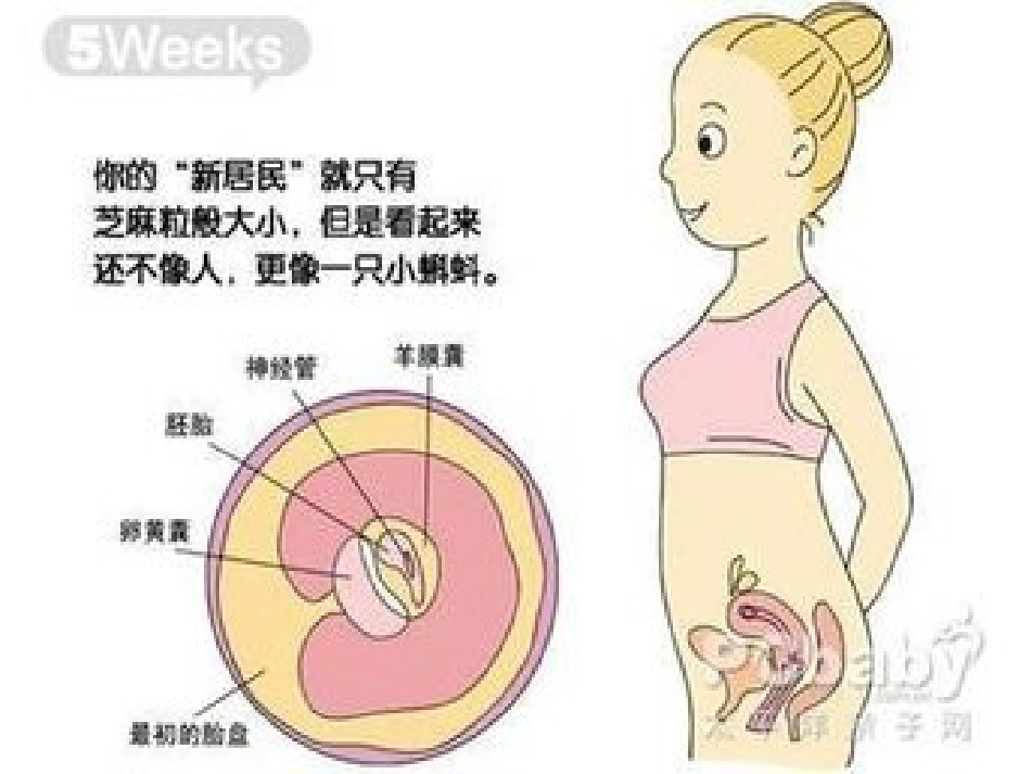 分娩室里的奥秘_第3页