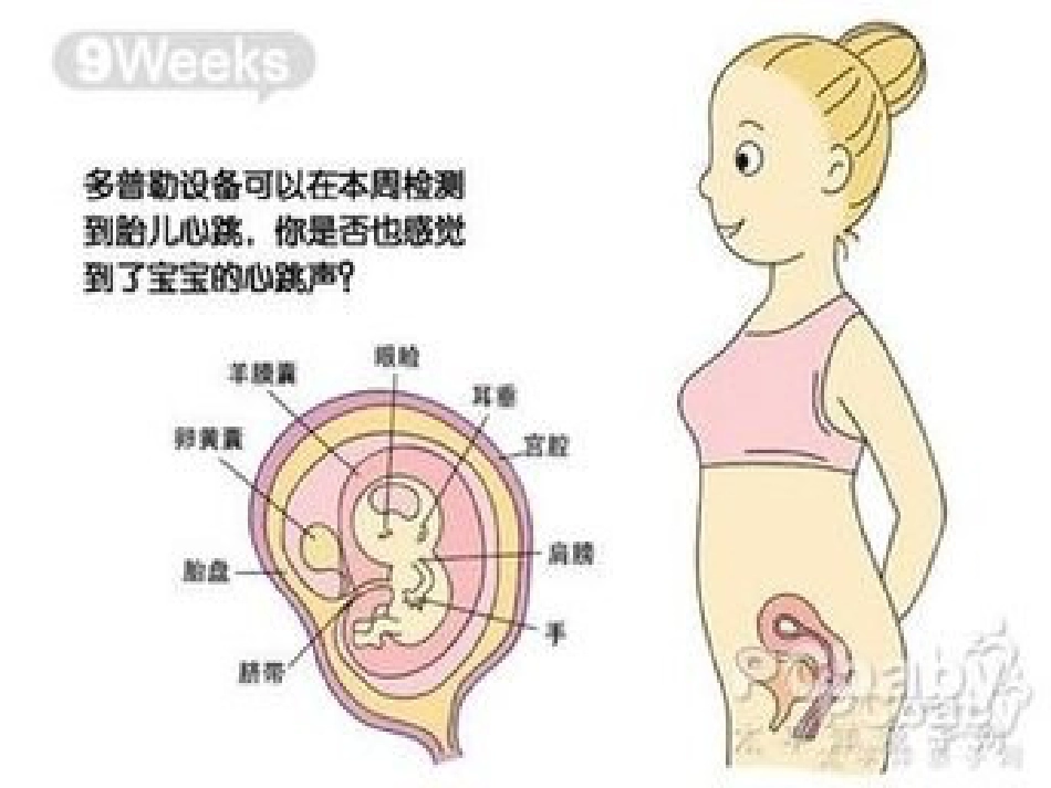分娩室里的奥秘_第4页
