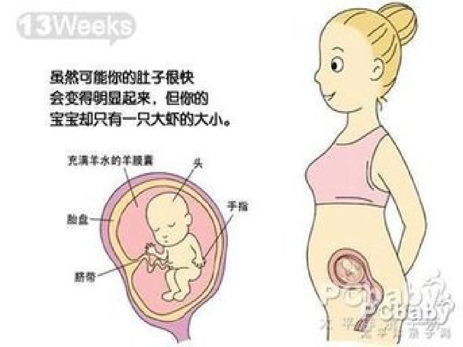 分娩室里的奥秘_第5页