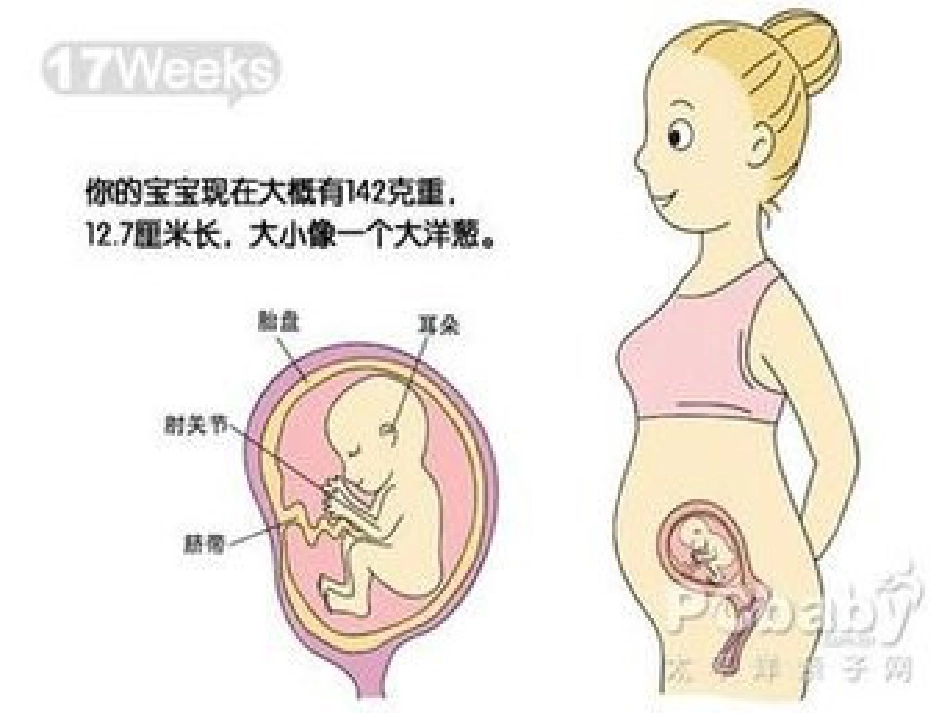 分娩室里的奥秘_第6页