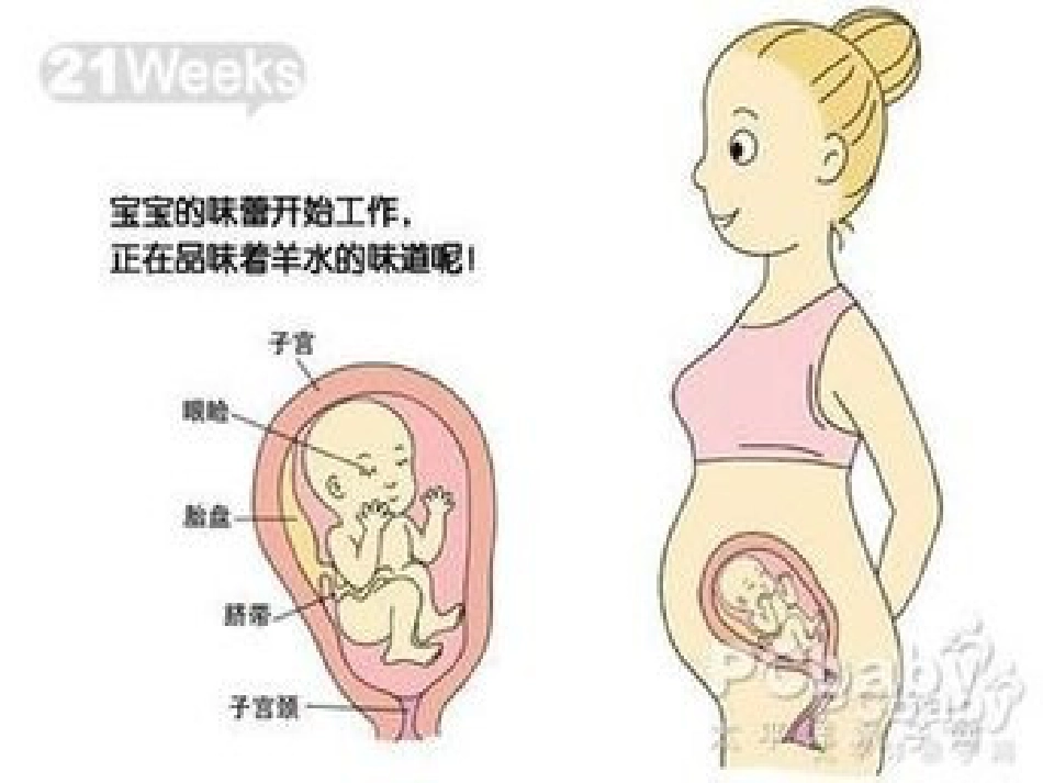 分娩室里的奥秘_第7页