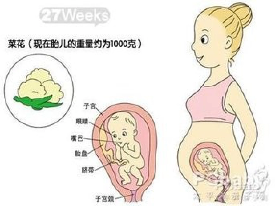 分娩室里的奥秘_第8页