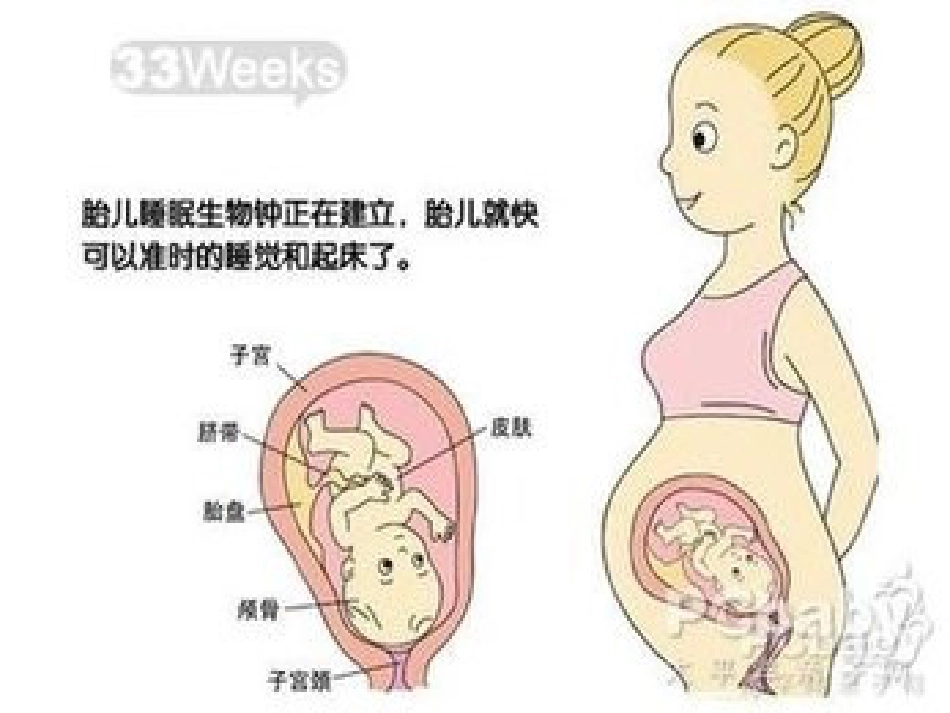 分娩室里的奥秘_第9页