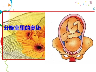 分娩室里的奥秘