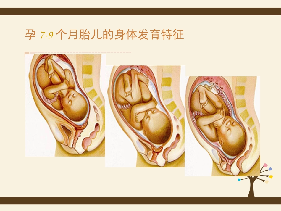 孕期规划_第4页