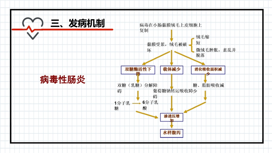 小儿腹泻_第11页