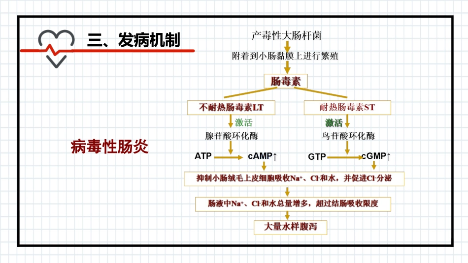 小儿腹泻_第12页