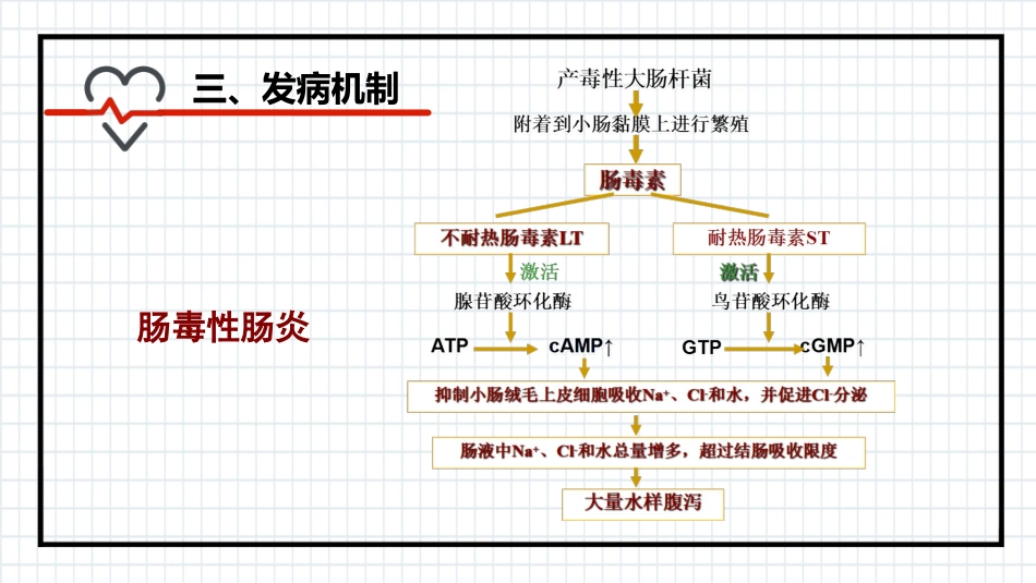 小儿腹泻_第13页