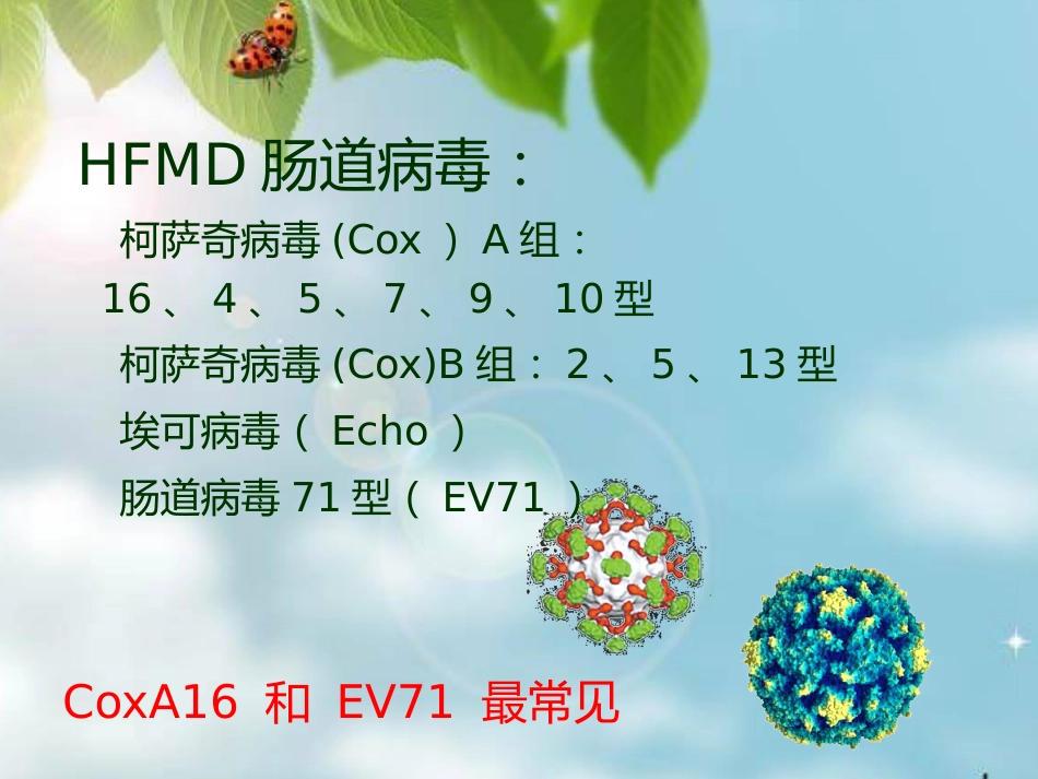 让你的孩子远离手足口病 (2)_第3页