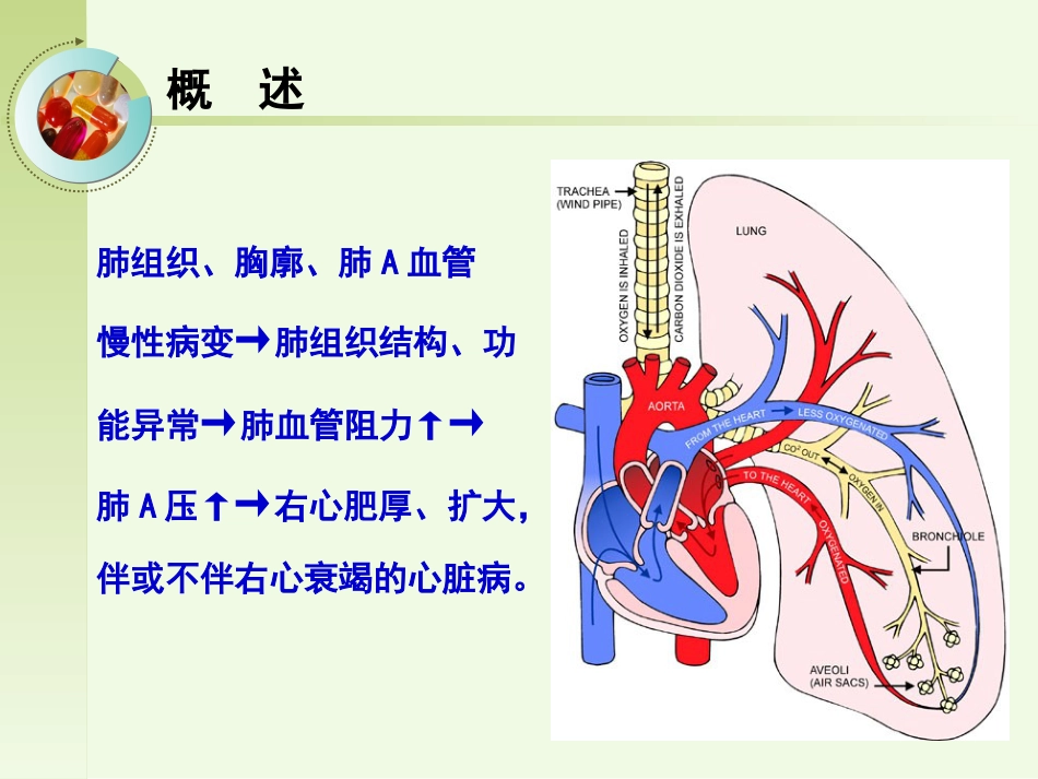 呼吸内科-肺源性心脏病病人的护理_第2页
