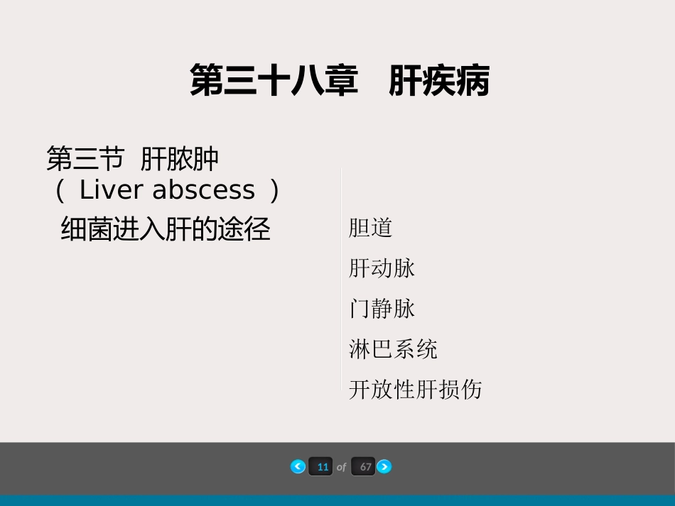 内科-肝疾病及门脉高压_第12页