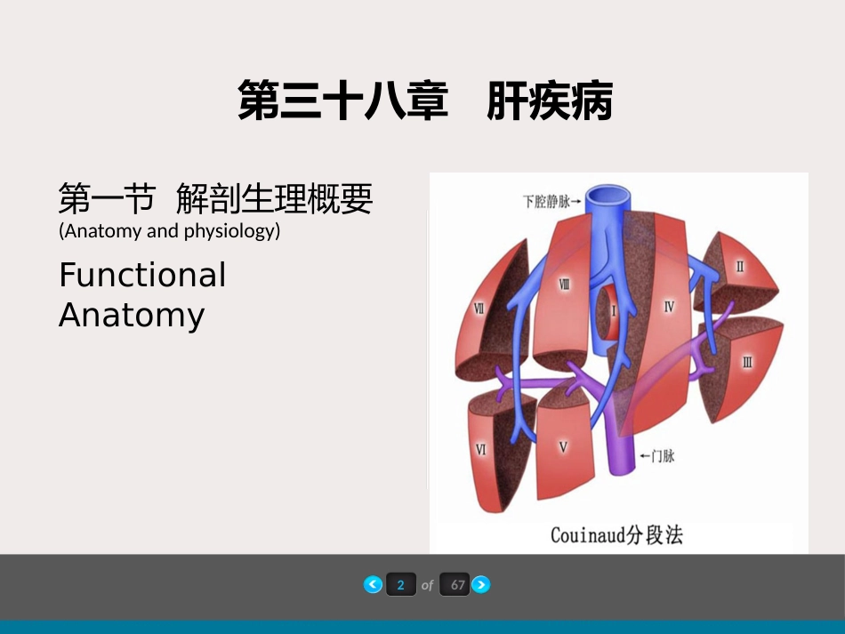 内科-肝疾病及门脉高压_第3页