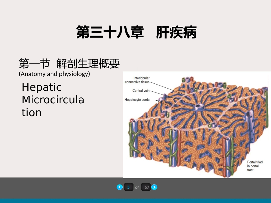 内科-肝疾病及门脉高压_第6页