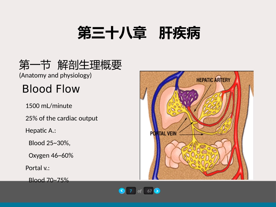 内科-肝疾病及门脉高压_第8页