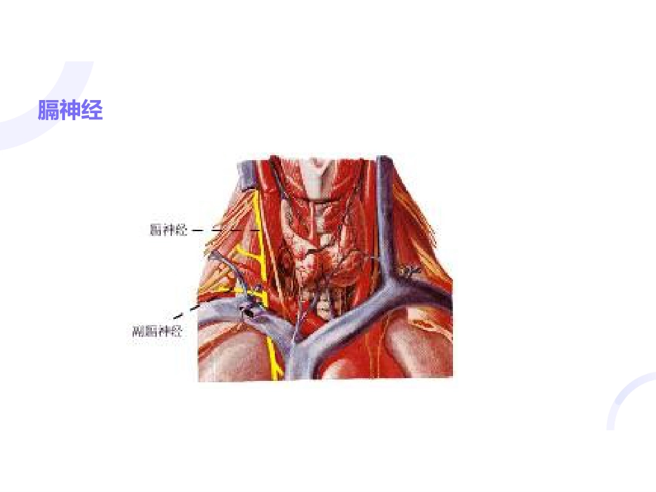 呼吸内科-呼吸衰竭_第12页