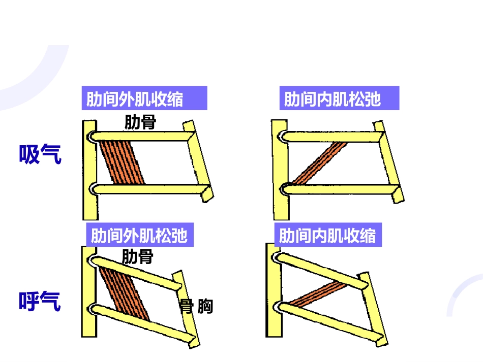 呼吸内科-呼吸衰竭_第15页
