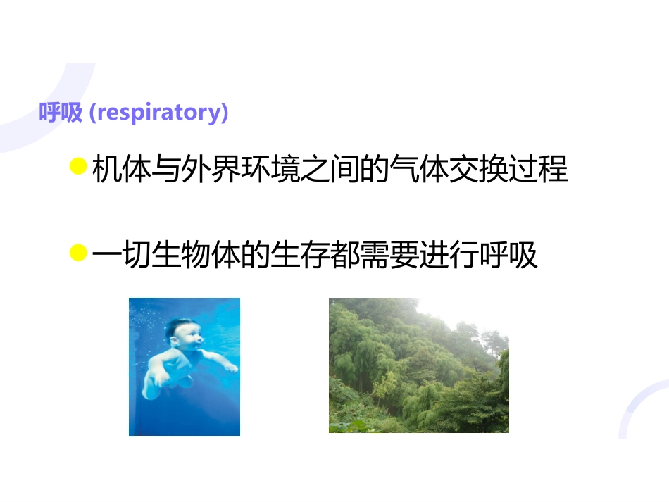 呼吸内科-呼吸衰竭_第3页