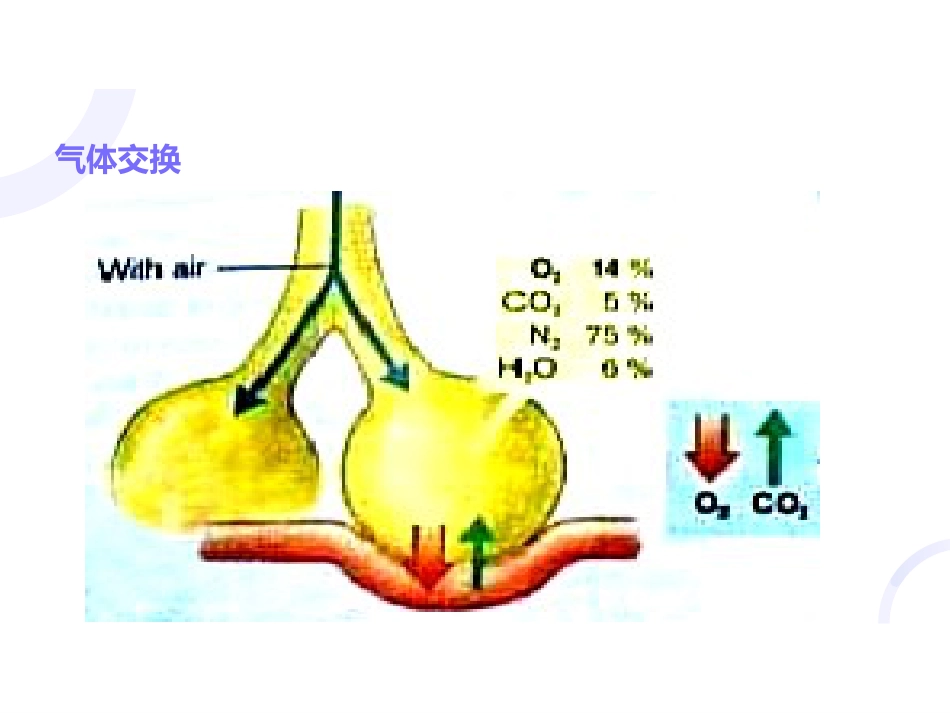 呼吸内科-呼吸衰竭_第4页