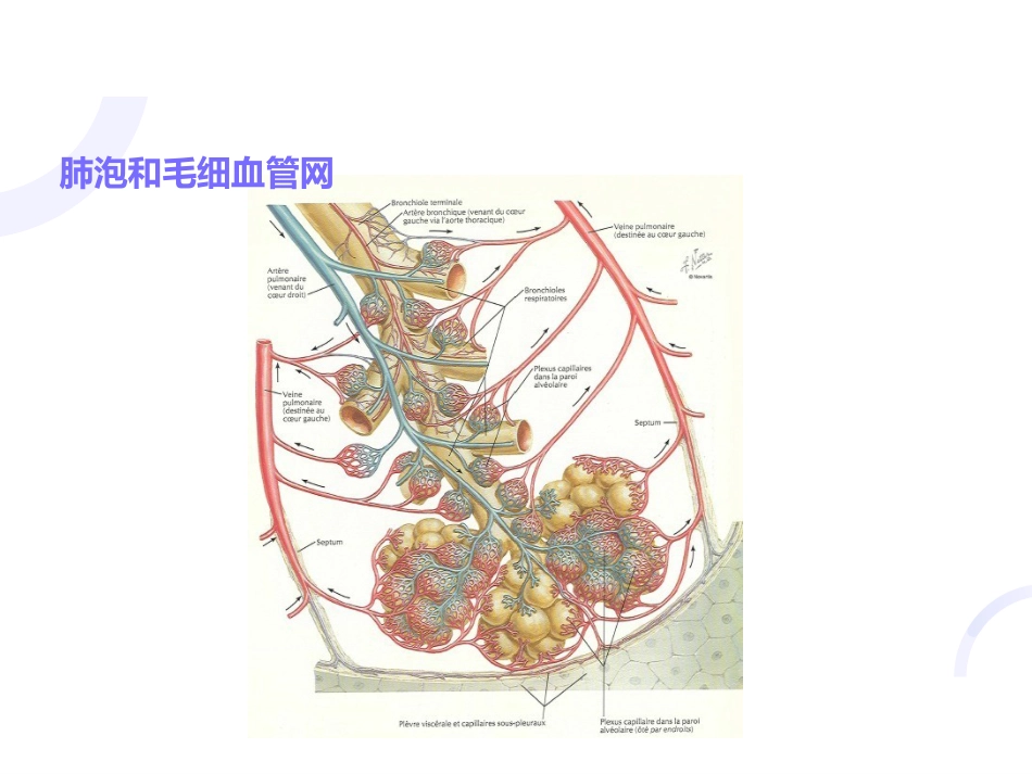 呼吸内科-呼吸衰竭_第9页