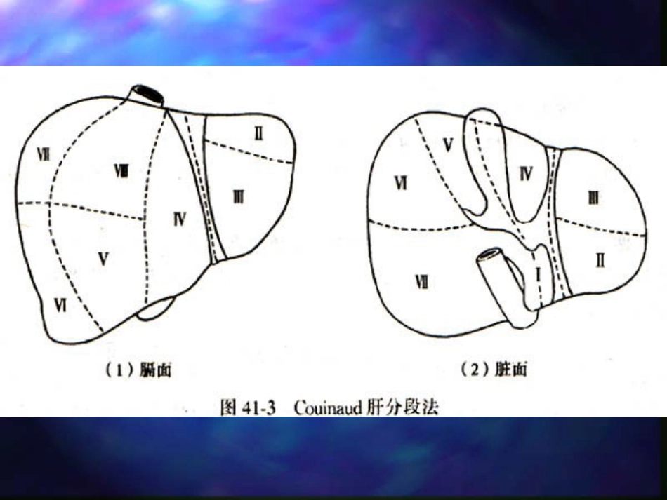 内科-肝疾病_第12页