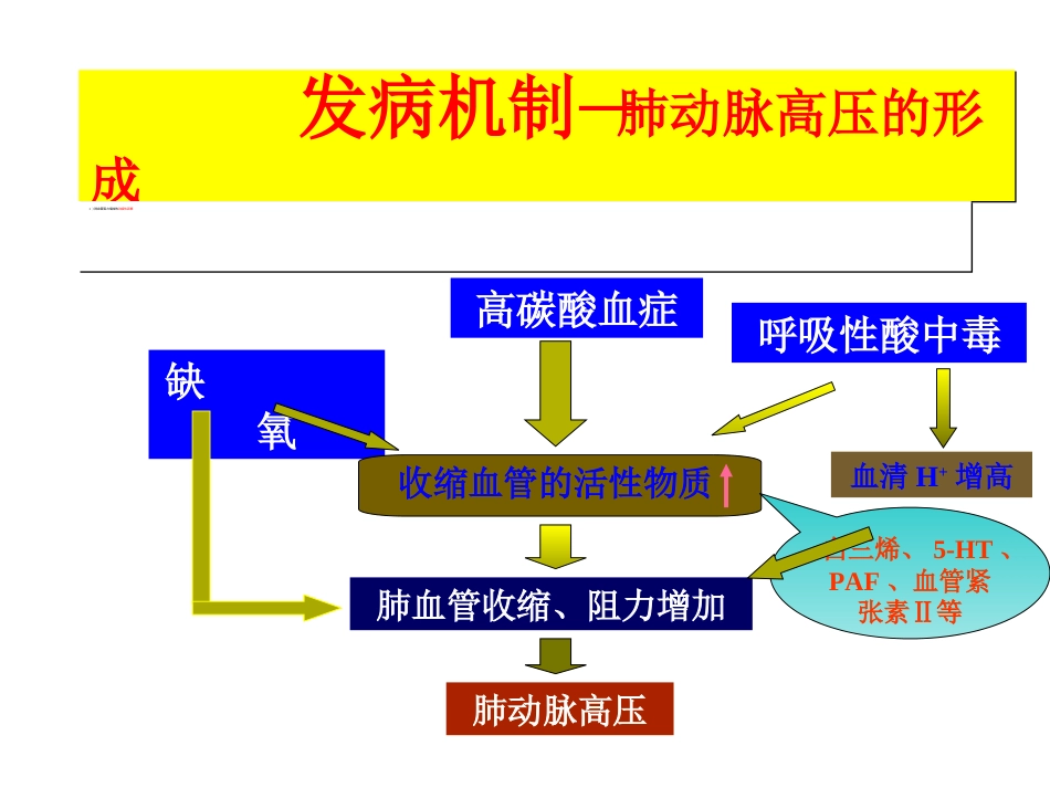 呼吸内科-肺源性心脏病_第12页