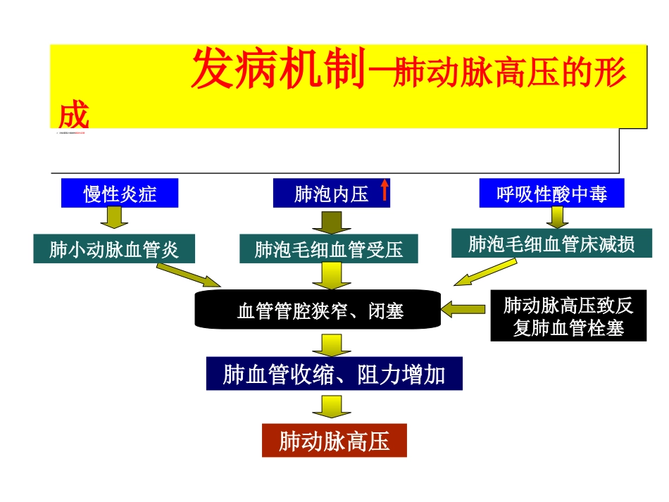 呼吸内科-肺源性心脏病_第13页