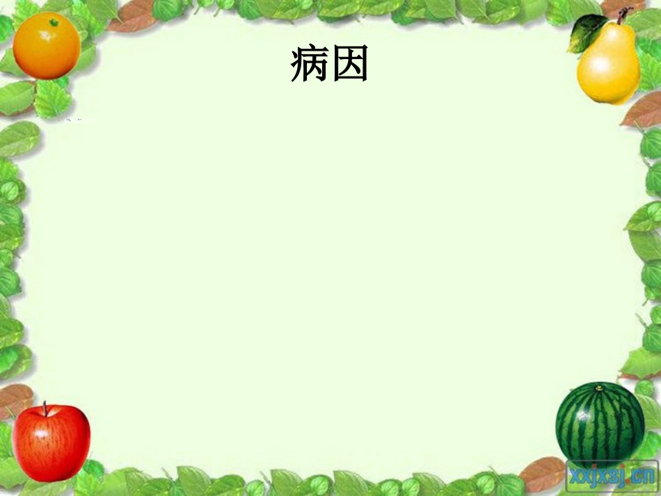 内科-腹痛与消化不良_第14页