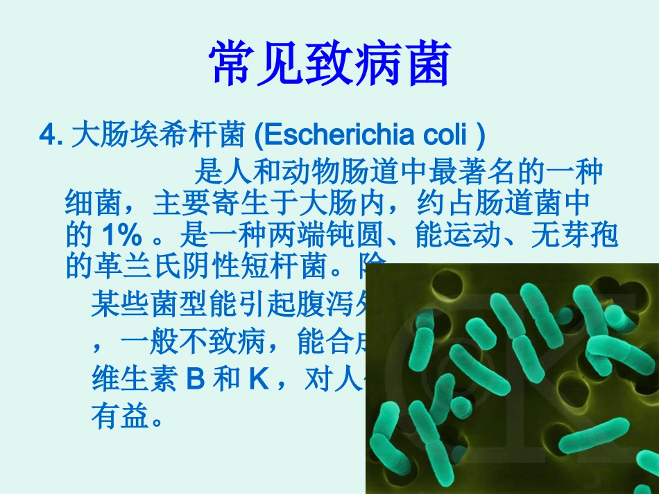 医院感染的常见细菌_第12页