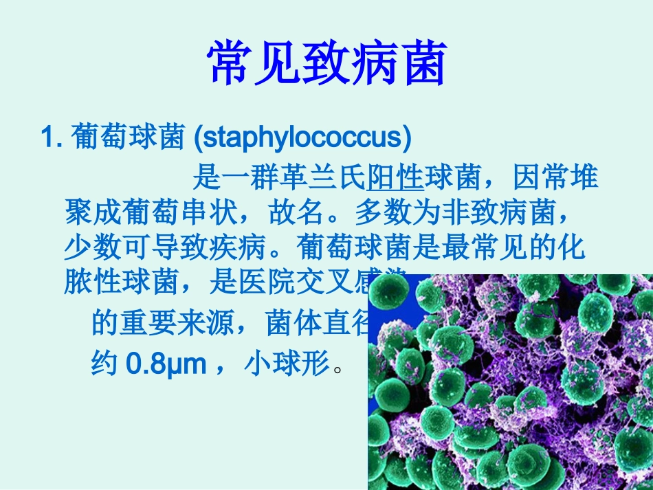 医院感染的常见细菌_第6页