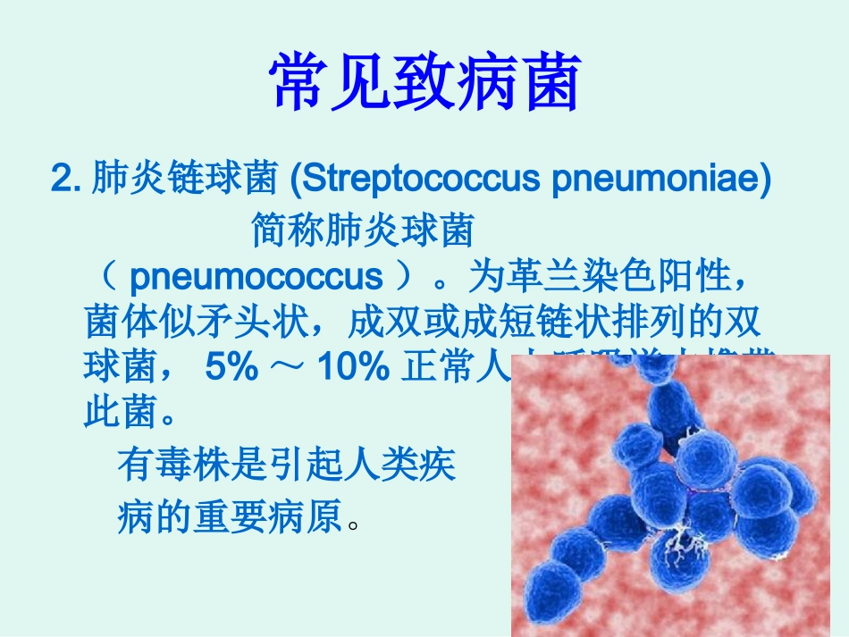 医院感染的常见细菌_第8页