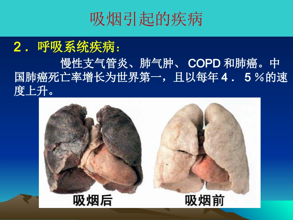 吸烟的危害及如何戒烟_第10页